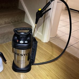 Carpet Beetle Control Bromley Insecticide for carpet beetle treatment