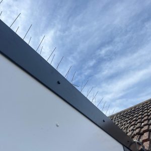 Bird spikes on a roof