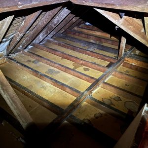 Deep Cleaning Services South East London A clean loft